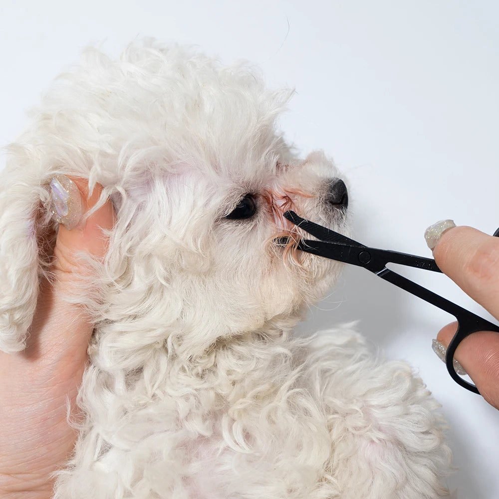 Pet Facial Cleaning Comb Set Removes Tear Stains Eye-poop Cat Paw Comb