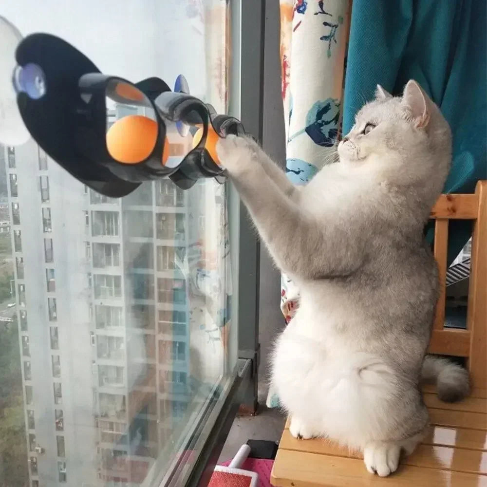 Track Cat Toy Plastic Sucker Track Ball Pet Accessories Window Table