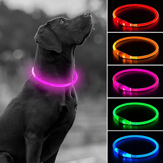 Led Usb Dog Collar Pet Dog Night Luminous Charge Collar Led Night