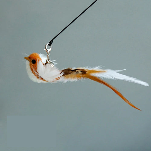 Funny Bird Feather Cat Wand With Bell Accessories Interactive Toys For