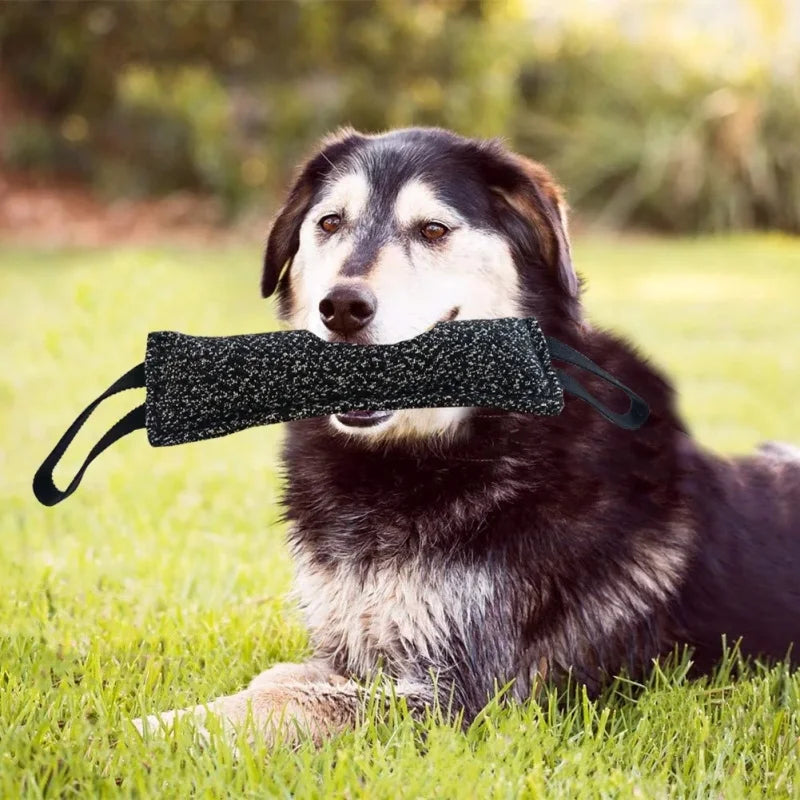 Dog Training Bite Stick Double Handle Interactive Toy Teeth Grinding