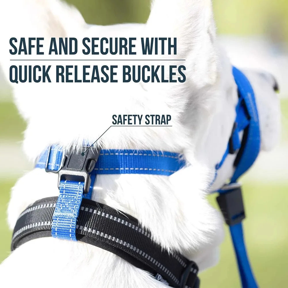 2026 New Nylon Portable Dog Muzzle Rope, Dog Cage Head Anti-Bite Pet