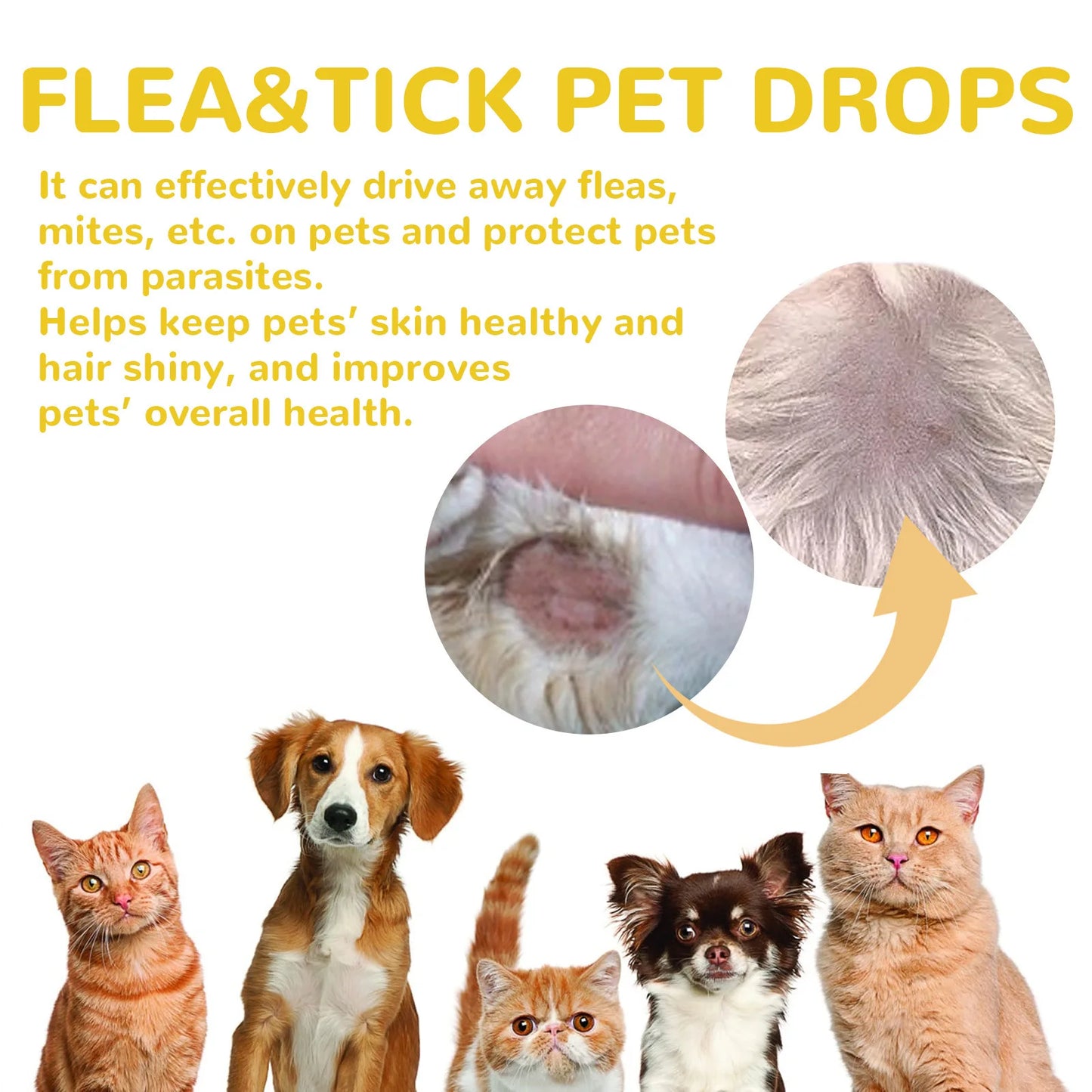 Cat Anti Flea Drops Flea Lice Remove Relieve Skin Itching External