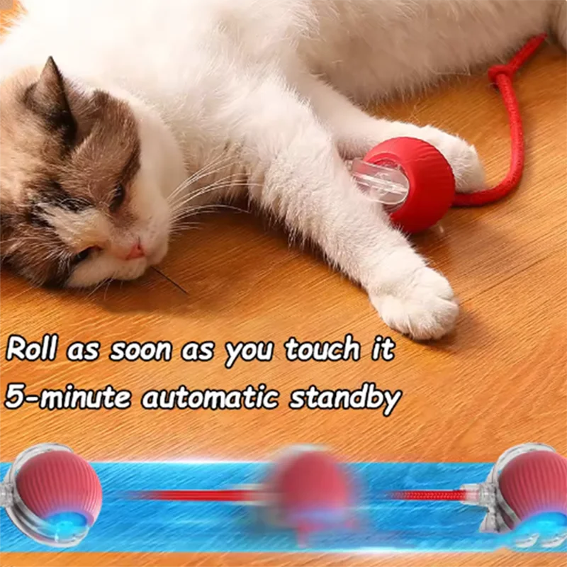 New cat toys are automatically teasing cat balls and self-exciting cat