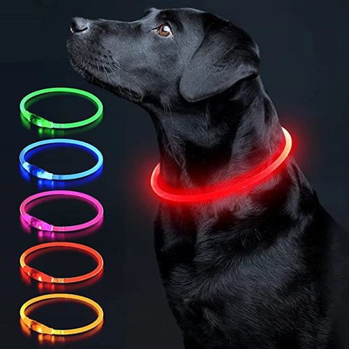 Luminous Dog Collar Light Charge Cat Necklace, Led Fashion Flashing