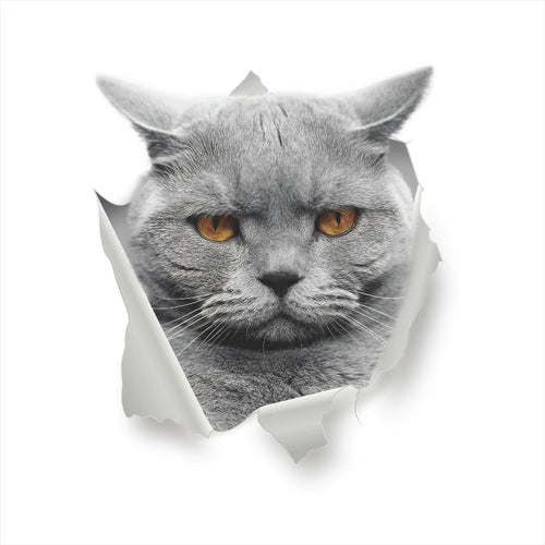 Vivid 3d Hole Funny Cat Dog Toilet Stickers Diy Wc Washroom Home
