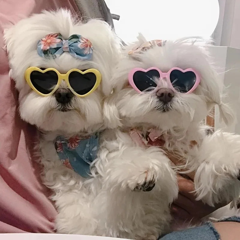 Dog Pet Glasses cute Pet Christmas funny Glasses heart-shaped Cat