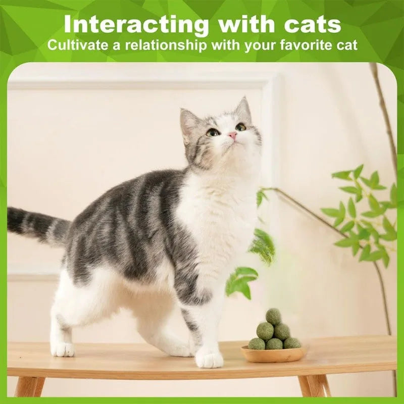5/10/20Pcs Natural Catnip Balls Kitten Cat Nip Ball Licker Toy for