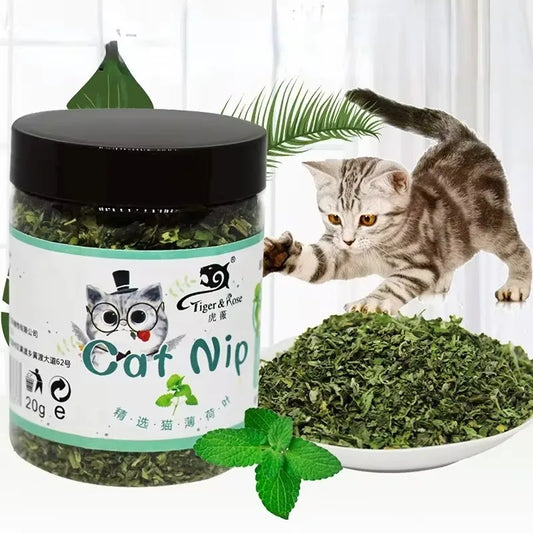 Organic 100% Natural High Quality Catnip Cattle Grass Mint Taste Funny