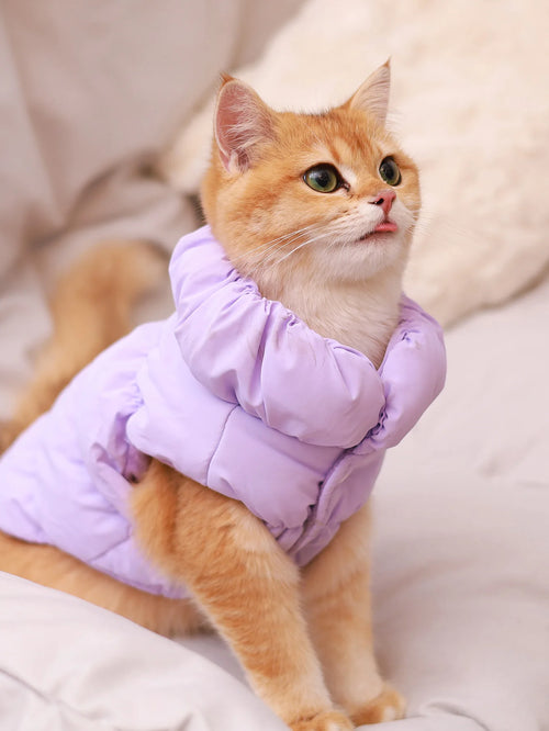 Dog Jacket For Autumn/Winter, Pet Coat, 3-Layer Thick Warm Outerwear,