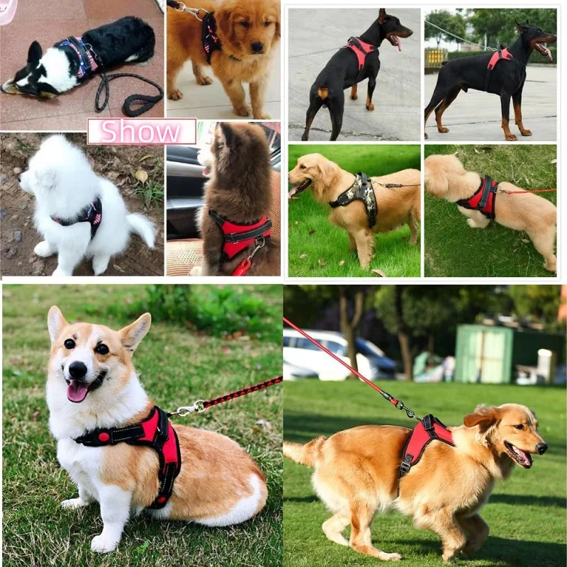 Small Medium Large Dog Harness Strong Harness Vest for Dogs Pet Shop