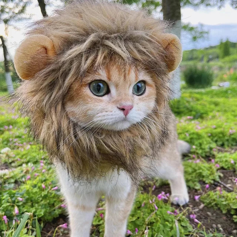 Funny Pets Clothes Cap Cute Cat Wig Lion Mane Costume Cosplay Kitten