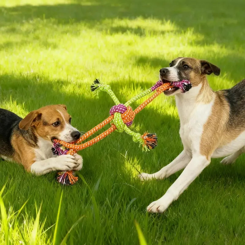 Durable Dog Rope Toy Teeth Cleaning Pet Interactive Chewing Dog Toy
