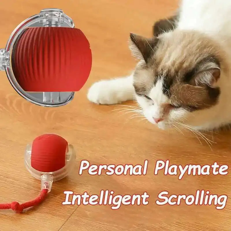Smart Dog Interactive Ball Toys Automatic Rolling Ball Rechargeable