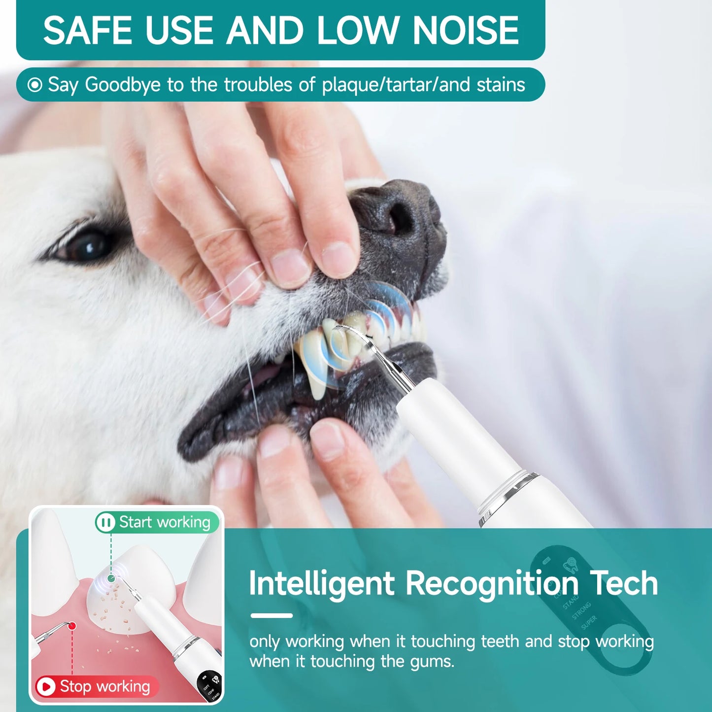 CURVY MOON Dog Use Ultrasonic Tooth Cleaner Dog Cat Pet Dental Scaler