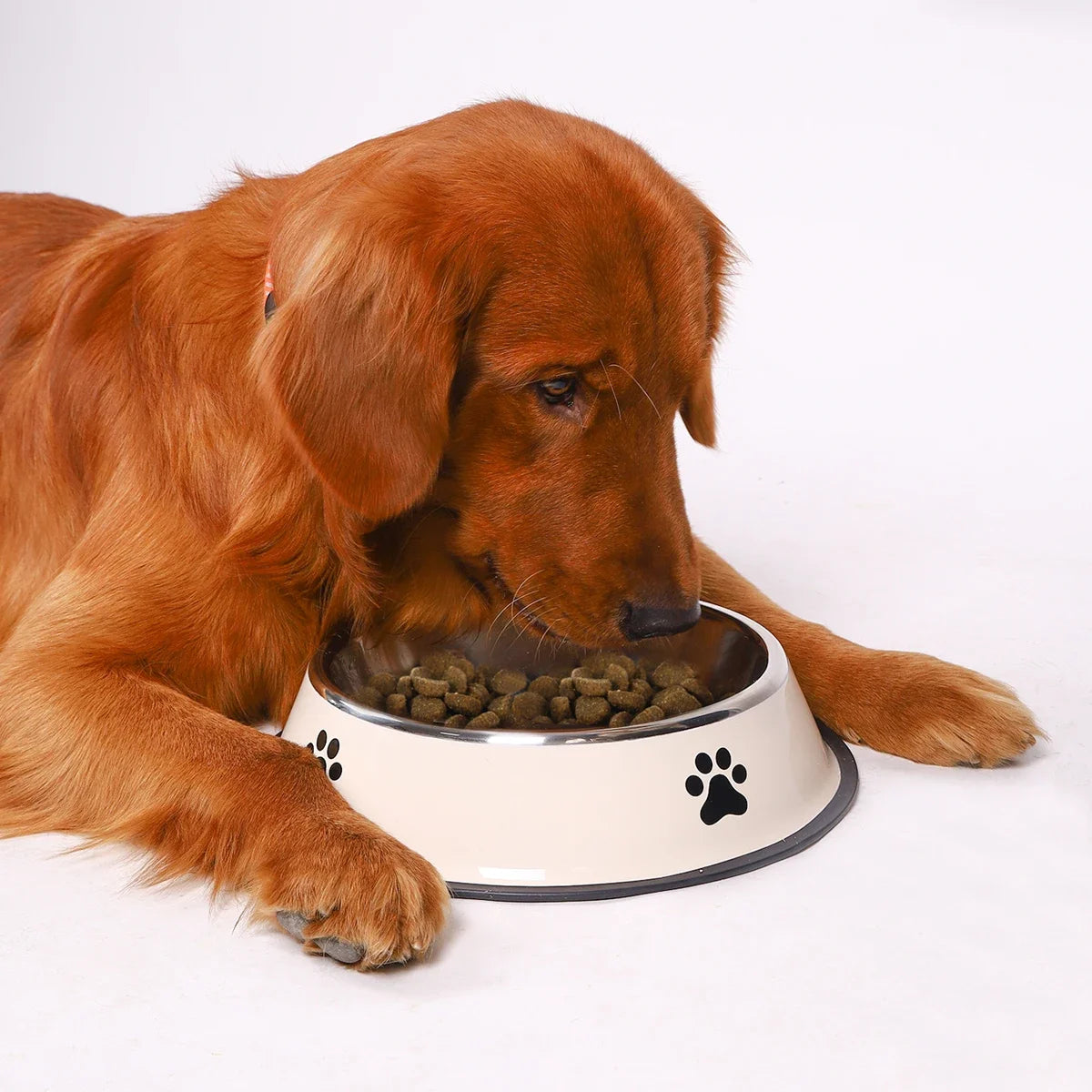 Stainless Steel Pet Bowl Cat  Dog Food Bowl Multi-Specification
