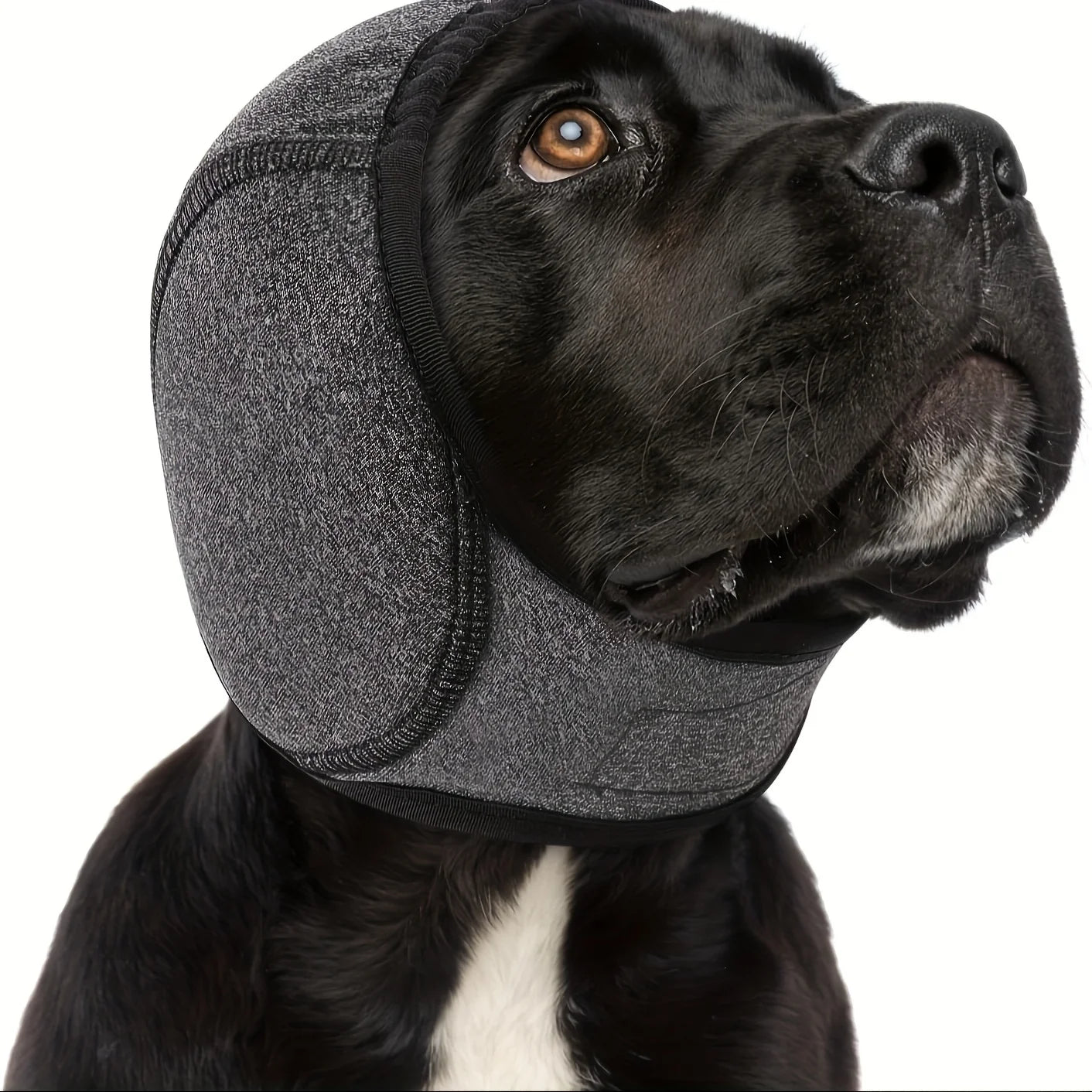 Adjustable Dog Earmuffs - Noise Reduction, Comfortable Quiet Head