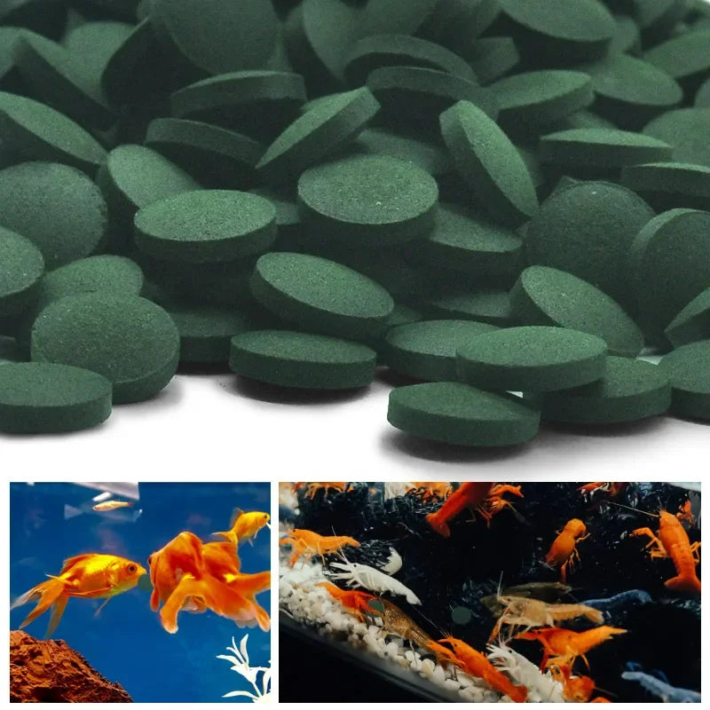 100/500pcs Spirulina Tablets Enrichment Favorite Pet Food fish crystal