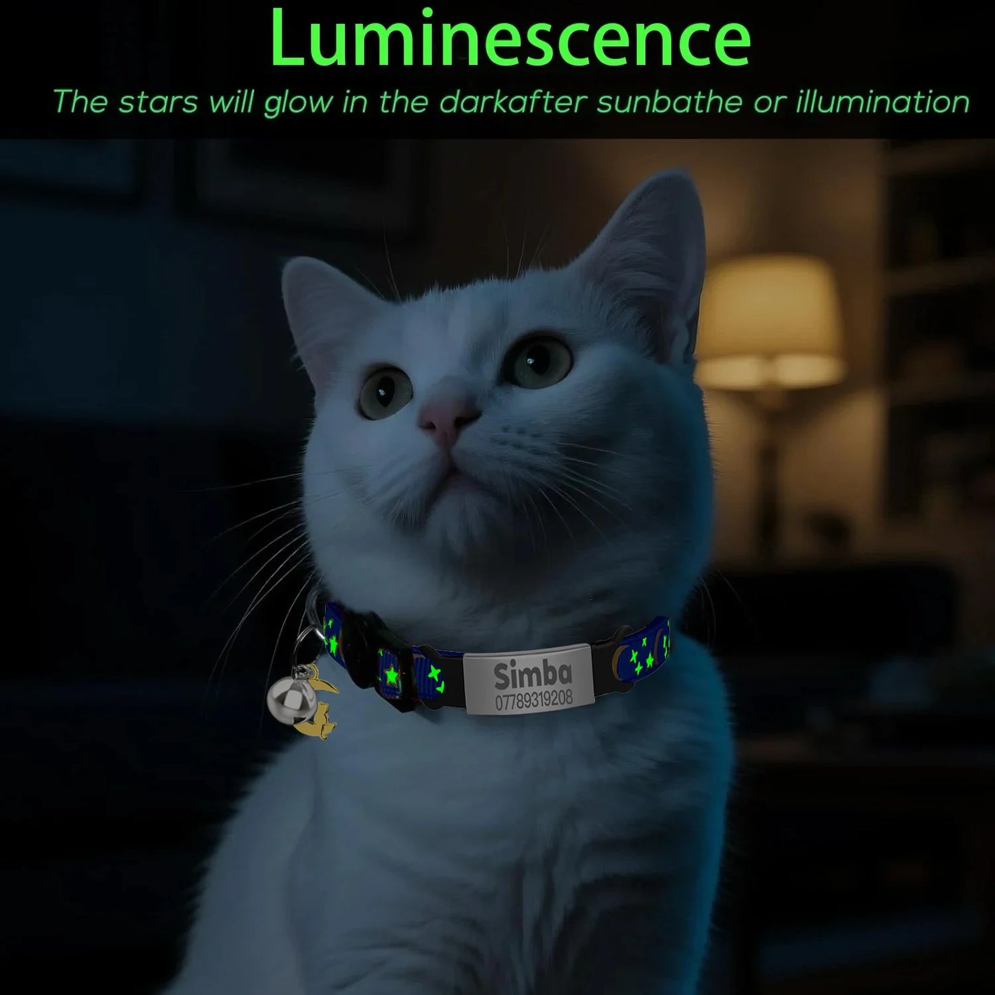Customized Cute Glow Cat Collar Free Engraved Puppy Kitten Anti-lost
