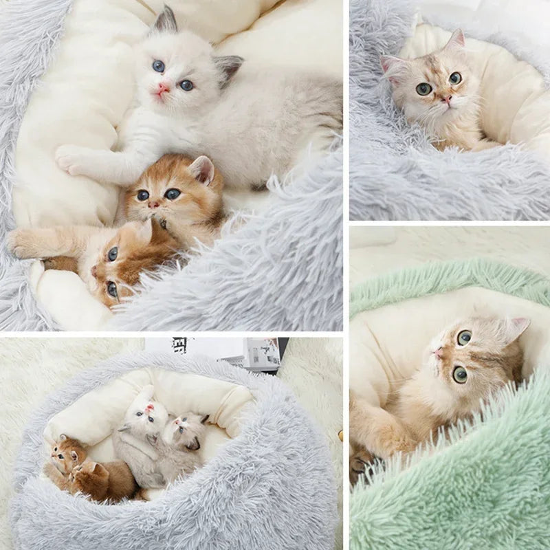 Autumn and Winter soft plush pet bed and pet bed Winter warm and cold