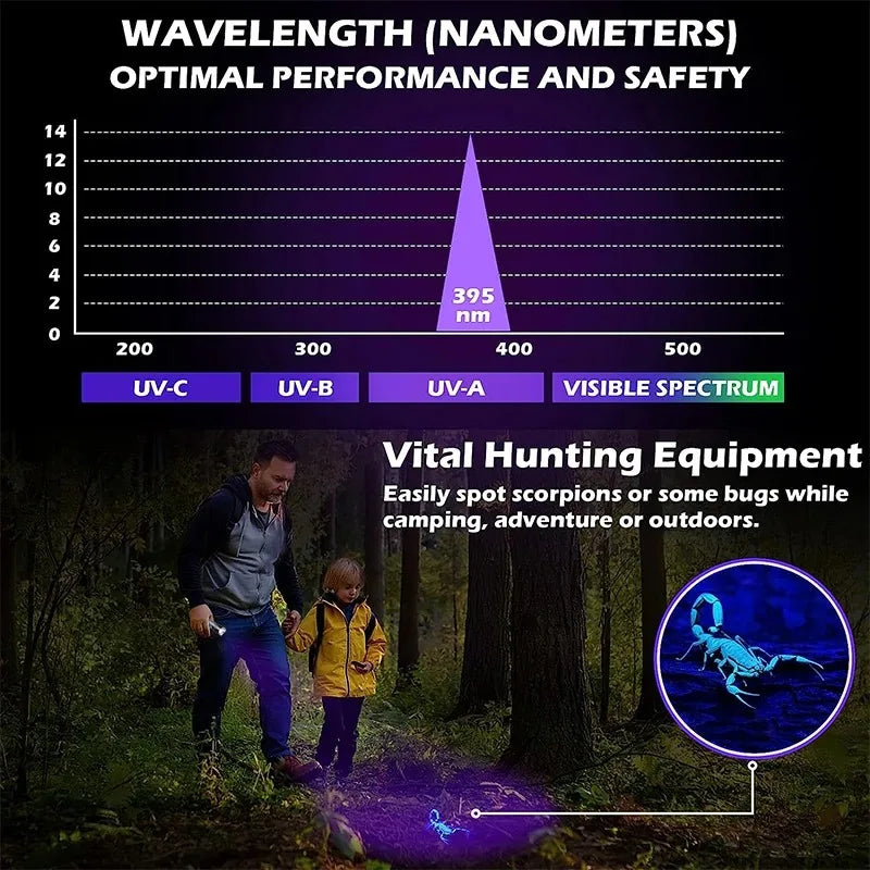 395nm UV Flashlight Blacklight Zoomable USB Rechargeable UV Light