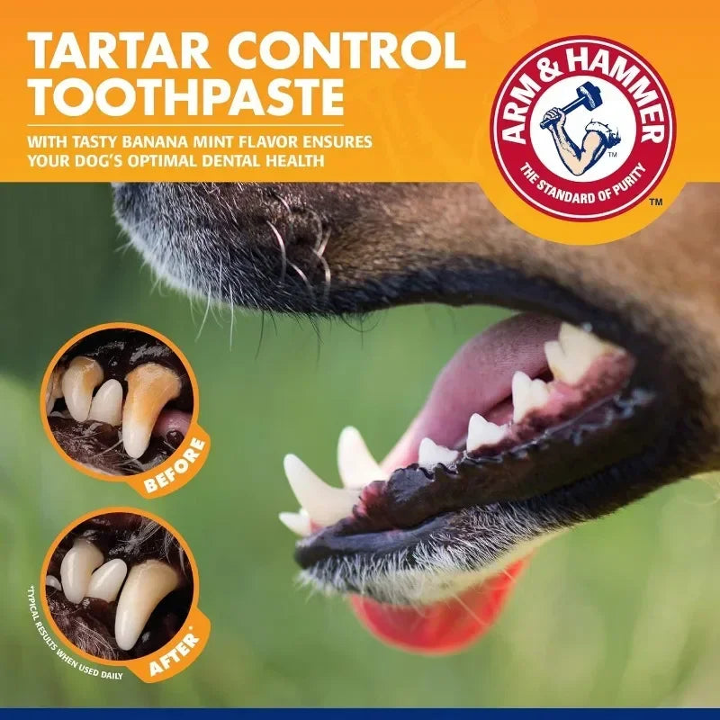 Pet Cleaning Tools Kit Dog Gum Care Products Kit Reduces Plaque &