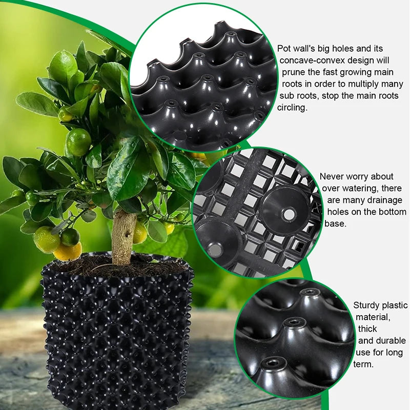Pruning Plant Root Control Nursery Pots Trainer Fast Root Grow