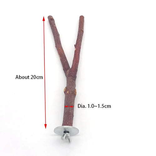Natural Wood Pet Parrot Raw Wood Fork Tree Branch Stand Rack Squirrel