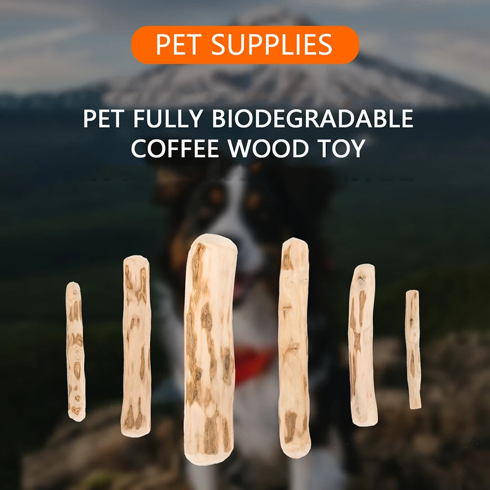 Dog Teeth Grinding Rod Wooden Chewing Toy Natural Coffee Wood Chewable