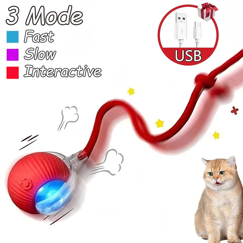Cat Interactive Ball Toys Automatic Rolling Ball Faux Tail