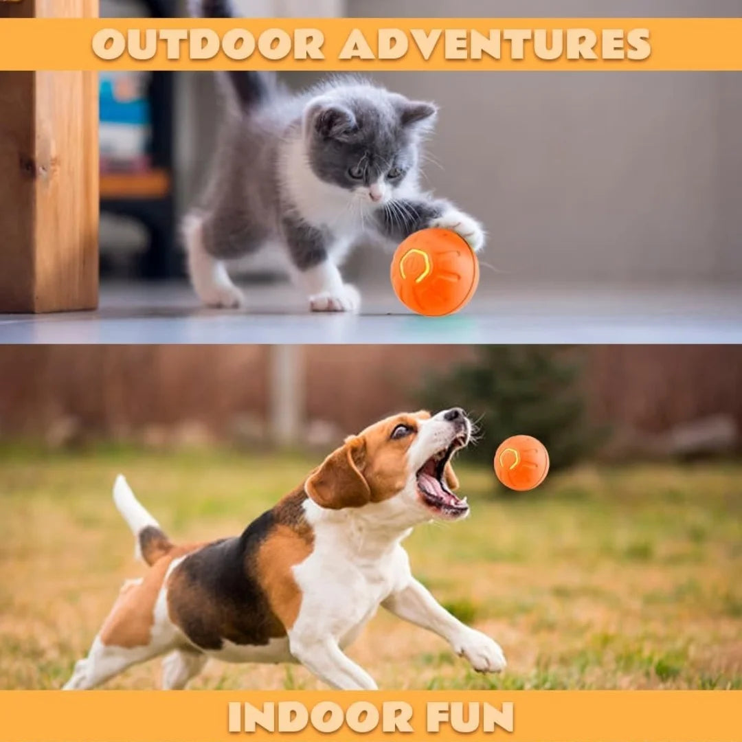 Pet toys Gravity Electric Amusement Pet Ball Smart Bouncing Ball For