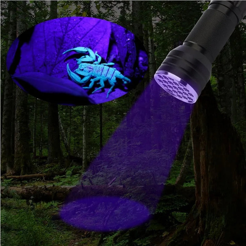 21 LED UV Ultraviolet Flashlight Blacklight 395NM Mini Torch Flash