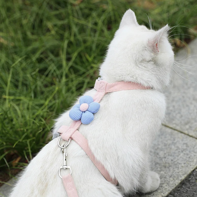 Cat Harness and Leash Sets Adjustable Dog Harness for Small Dog Leash