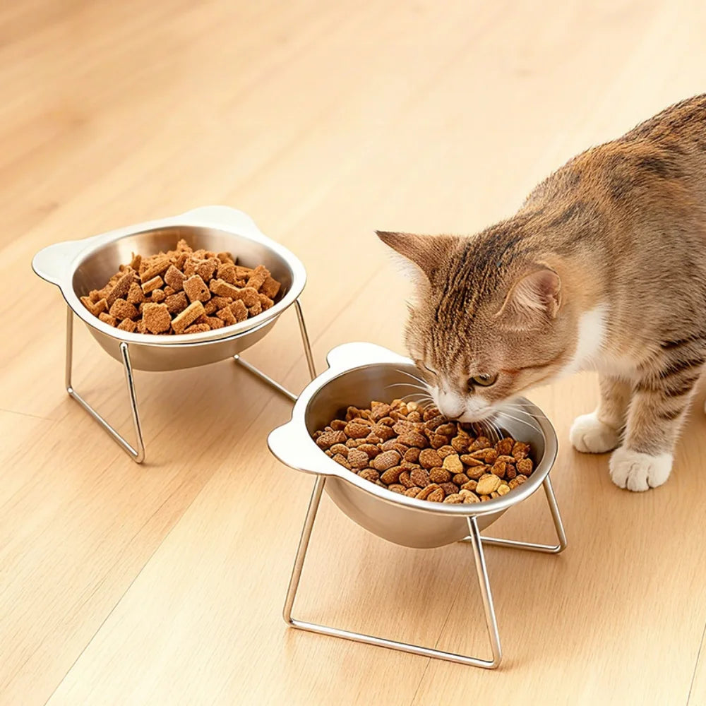 304 Stainless Steel Elevated Pet Bowl: Angled Tilted Feeder with Neck