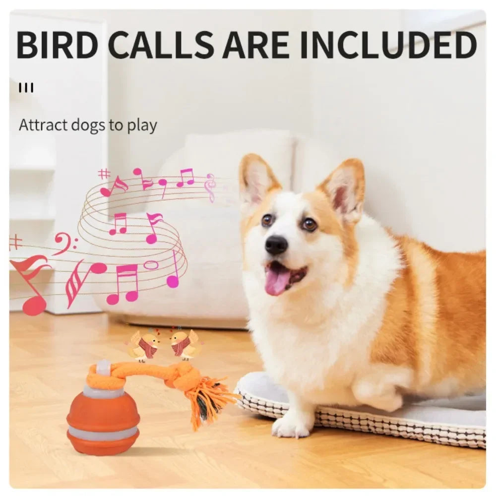 Pet Ball for Dogs Interactive Toys Motion Activate Rolling Ball for