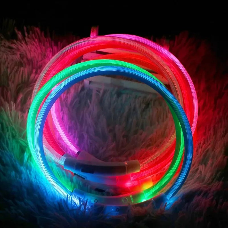 Dog Collar Luminous Usb Cat Dog Collar 3 Modes Led Light Glowing Loss
