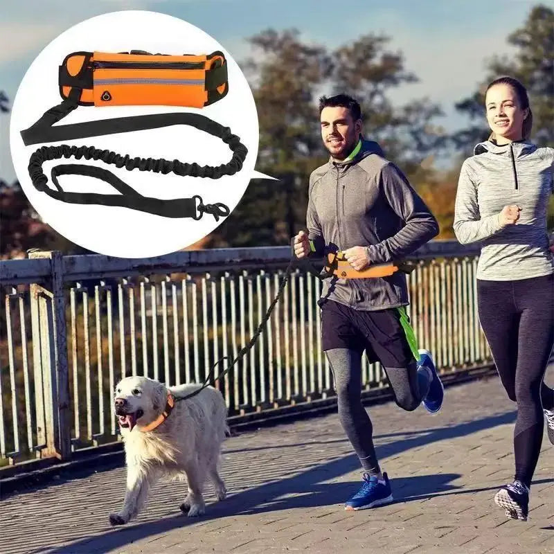 Dog Running Waist Leash Nylon Pet Leash with Waist Bag Retractable