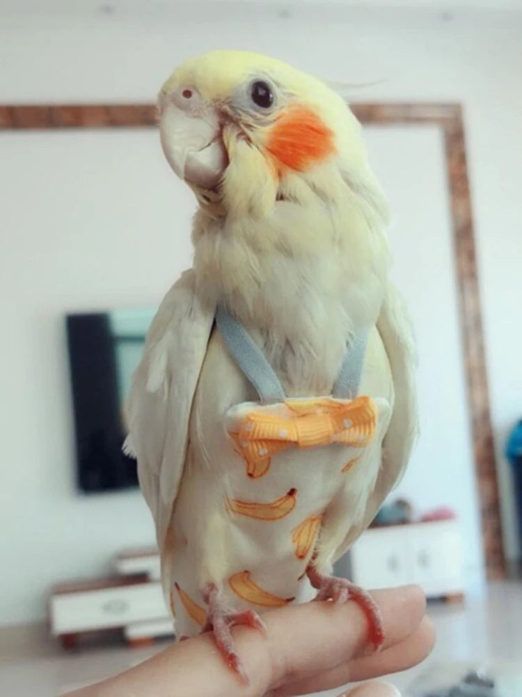 Parrot Diaper with Bowtie Cute Colorful Fruit Floral Cockatiel Pigeons