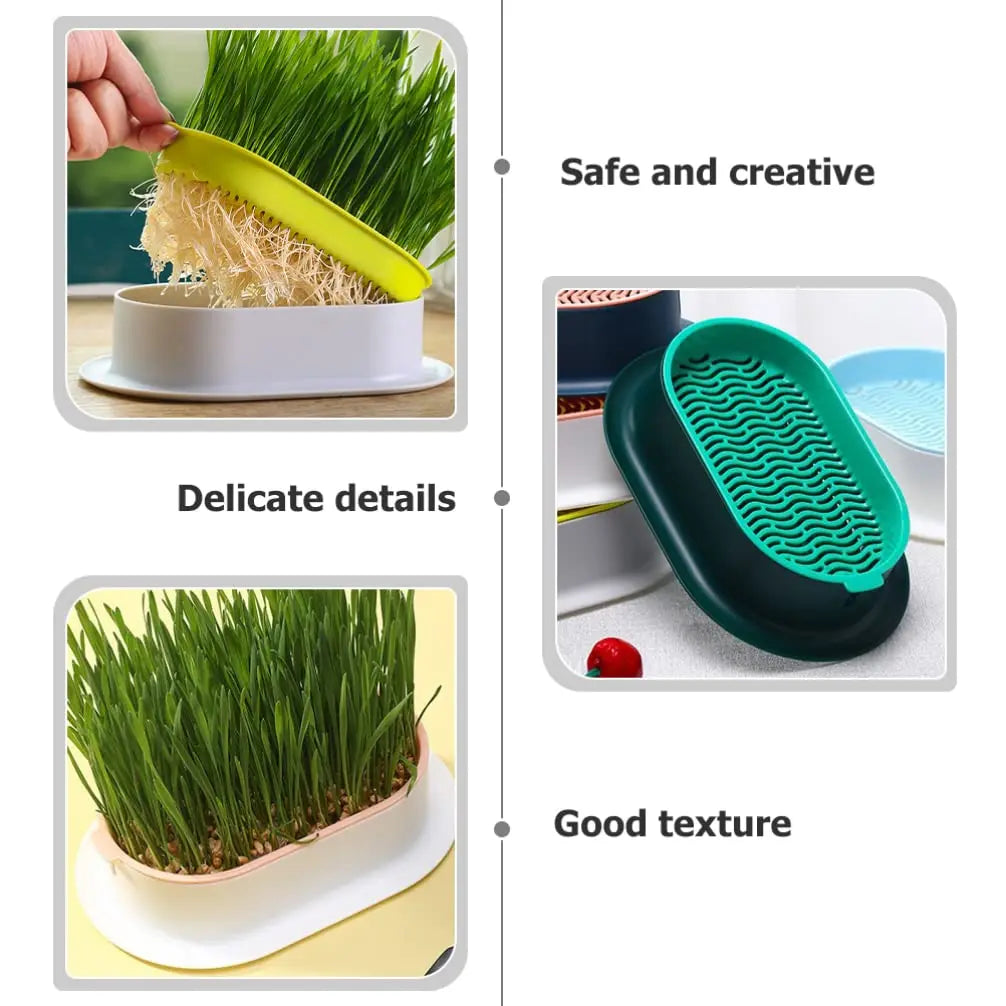 New Pet cat sprout Dish Growing Pot Hydroponic Plant cat Grass