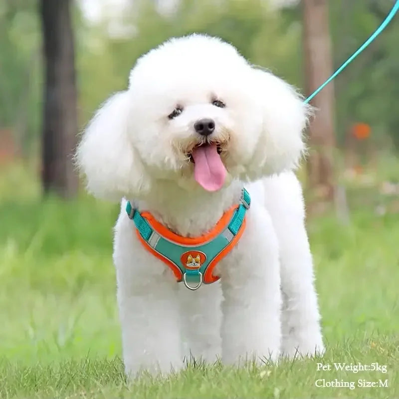 Booteely Pet Suede Chest Harness Vest Dog Cat Strap Reflective Leash
