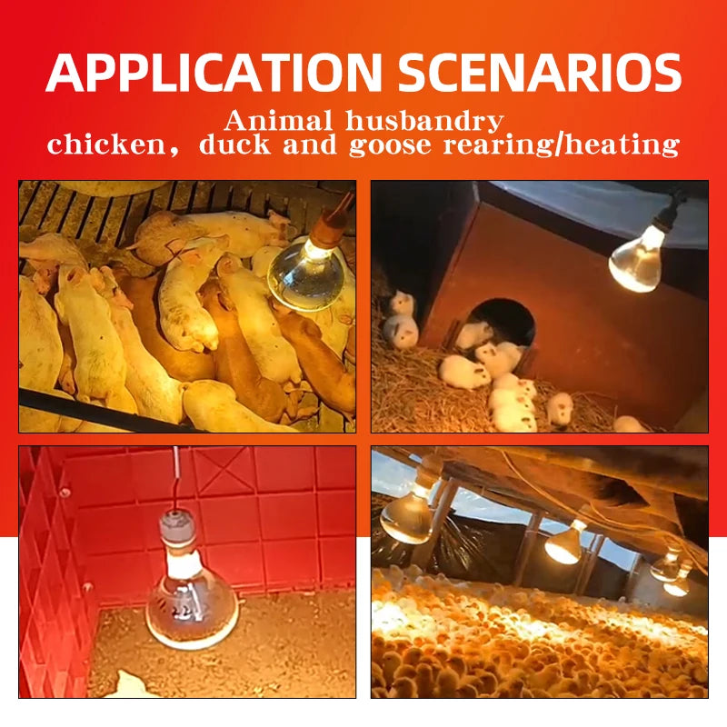 Thickened Poultry Heating Lamp Breeding Bulb High Quality E27