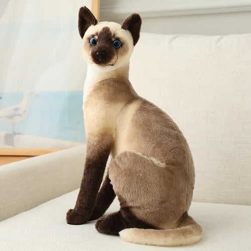 Stuffed Siame Cats Plush Toy 20/25cm Simulation American Shorthair