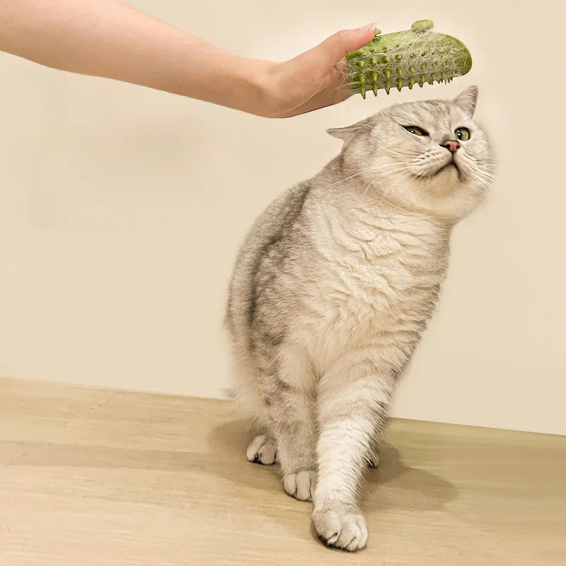Pet Cat Hair Removal Massage Comb Cats Scratching Rubbing Brush kitten