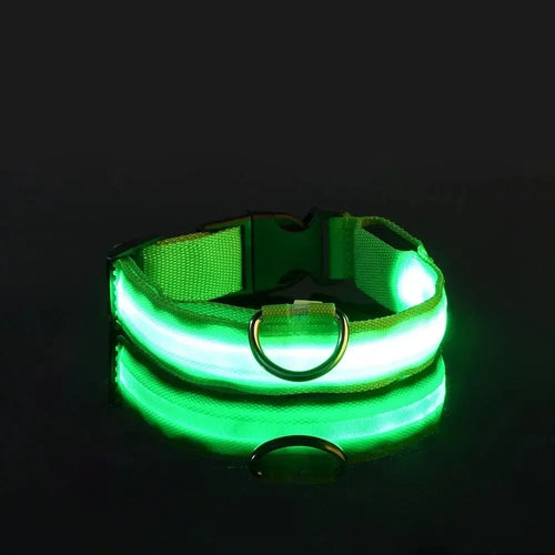 Light Up LED Pet Dog Collar Safety Night Walking Flashing Glow In The