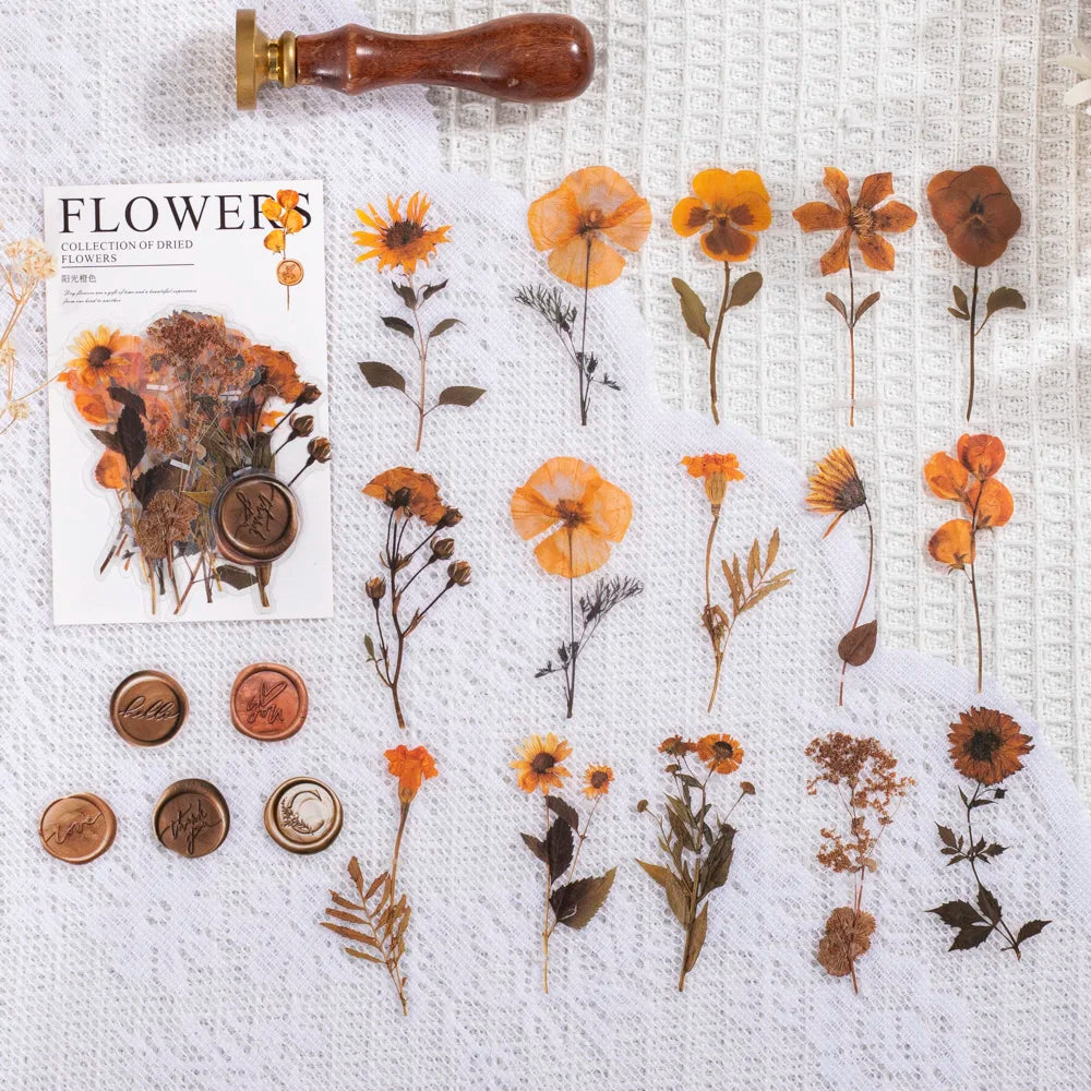 40 pcs/pack Vintage Dried flower Leaf specimen Stickers aesthetic