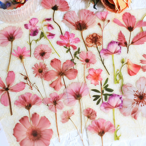 Journamm 50Pcs Transparent Decoration Flower Stickers for Scrapbooking