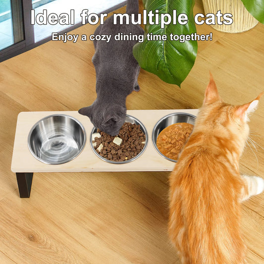 Elevated Cat Bowls Feeder 15° Tilted Raised Feeding & Watering