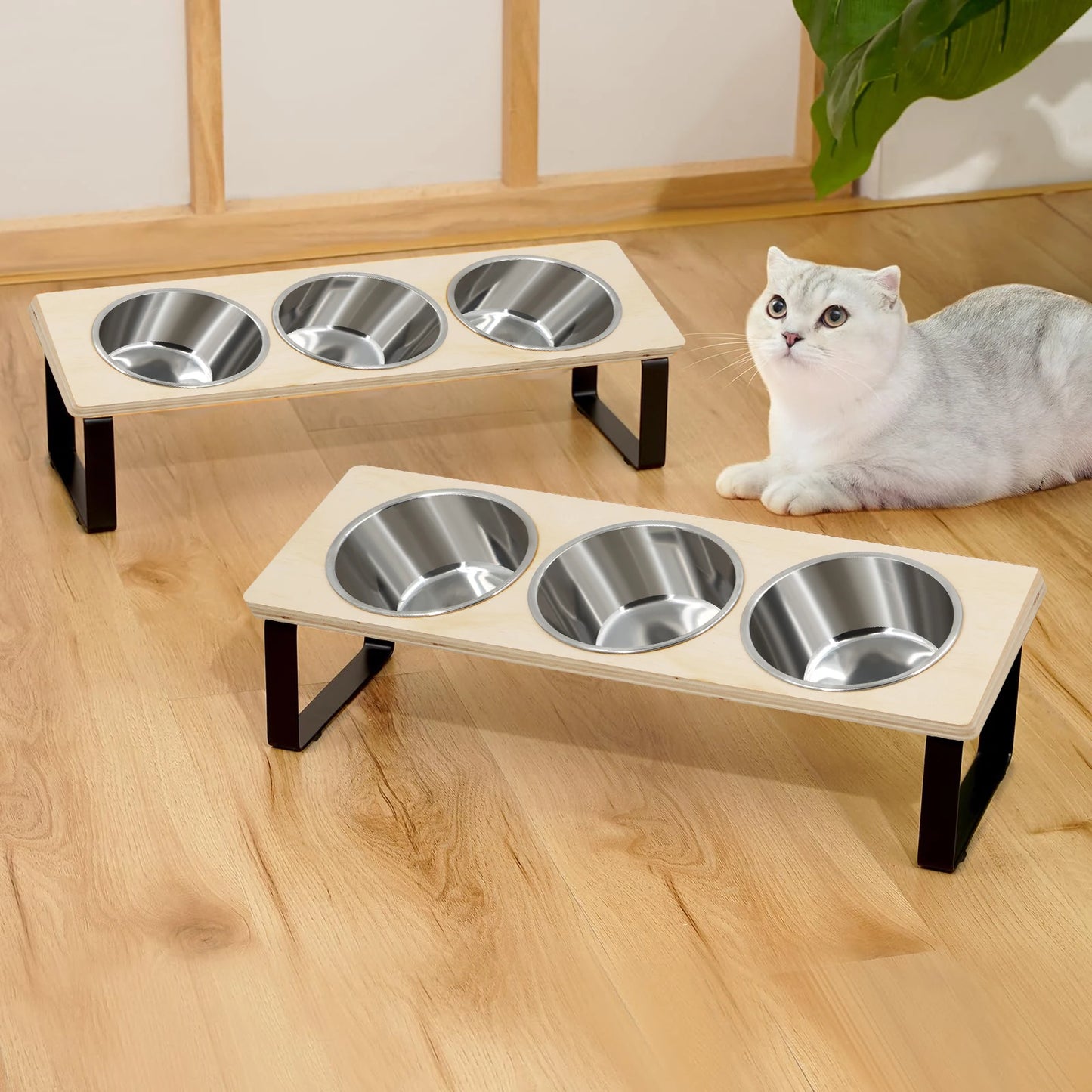 Elevated Cat Bowls Feeder 15° Tilted Raised Feeding & Watering