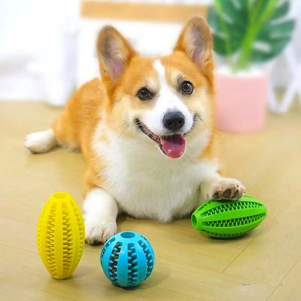 Pet Dog Chew Toys Teeth Cleaning Snack Ball Pet Dog Toy Ball Natural