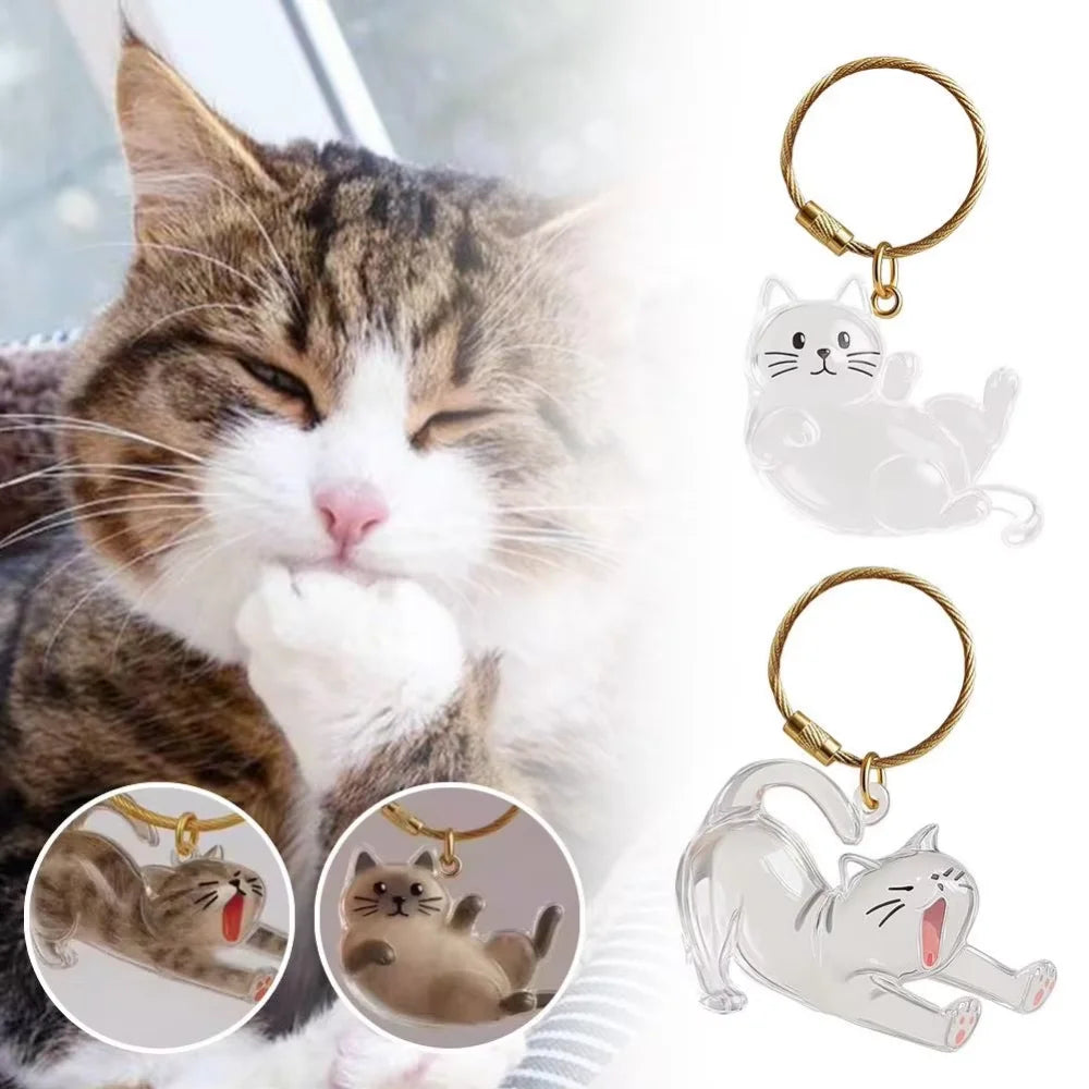 Rakol New Transparent Pet Hair Storage Box Cat Hair Storage Capsule